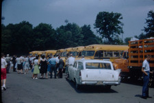 School buses crowd for sale  Elkins Park