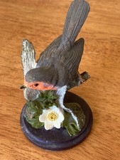 Country bird collection for sale  PENZANCE