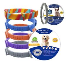 Month protection pet gebraucht kaufen  Versand nach Germany