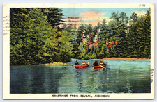 Vintage old outdoor for sale  Decatur