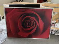 Rosenbild 140x100x3 kleine gebraucht kaufen  Steinheim