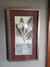 Chicago botanic garden for sale  Montello