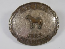 Vintage avqha champion for sale  Escondido