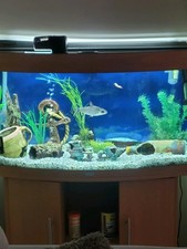 Juwel vision 180 for sale  EPSOM