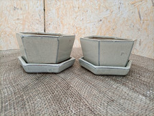 Vaso bonsai esagonale usato  Foligno