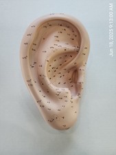Guia científico de acupuntura auricular auricular 3B 12 polegadas comprar usado  Enviando para Brazil