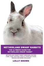 Netherland dwarf rabbits for sale  UK