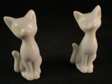 2 siamese cats for sale 2 siamese cats for sale Mount Holly