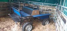 Wagonette neuwertig kaltblut gebraucht kaufen  Bodenwerder