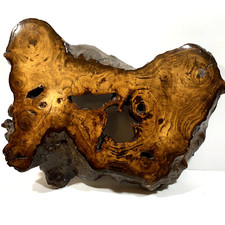 Live edge burl for sale  College Place