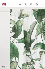 Banana palm leaf for sale  MANCHESTER