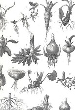 Culpeper 1786 english for sale Culpeper 1786 english for sale  RICHMOND