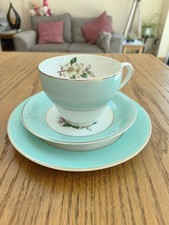 Pistachio snowflake pareek for sale  FERNDOWN