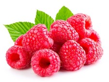 Raspberry plants bare for sale  Sewell