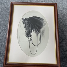 Horse framed print for sale  SKEGNESS