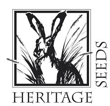Yellow rattle rhinanthus for sale  WEYMOUTH