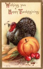 Wishing happy thanksgiving for sale  Pittsfield