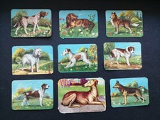 Collection rectangular dog for sale  YARM
