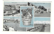 Skegness postcards skegness for sale  SKEGNESS