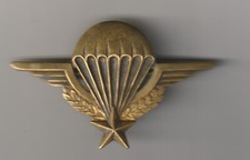 Ancien insigne brevet d'occasion  Tours-