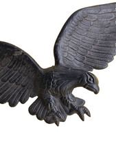 Flying eagle usa for sale  Portland