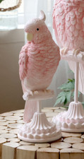 Papagei kakadu rosa gebraucht kaufen  Lage