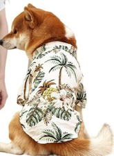 New hawaiian dog for sale  Plainfield
