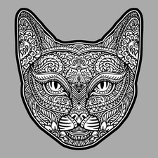 Tete chat moustache d'occasion  Le Val
