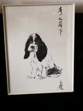 King charles spaniel for sale  BRISTOL