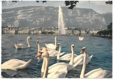 Br2426 geneve vue usato  Civitavecchia