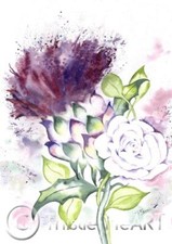 Scottish thistle white for sale  NEWTON STEWART