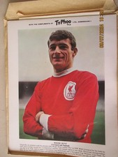 Typhoo tea football for sale  BRADFORD