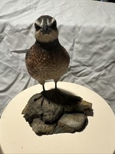 ducks unlimited paintings for sale ducks unlimited paintings for sale Junction City