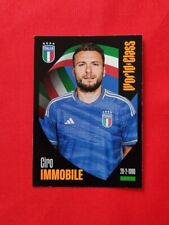 Figurina panini world usato  Santo Stefano di Camastra