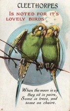 Novelty pullout postcard for sale  CLEETHORPES