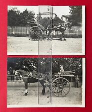 Militär chemnitz 1914 gebraucht kaufen  Dresden