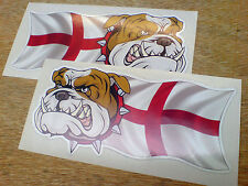 British bulldog england for sale  CHORLEY