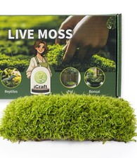 Live moss terrariums for sale  Alpharetta