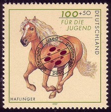 1923 jugend pferderassen gebraucht kaufen  Schwalmtal