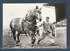 Cpsm 1960 faune d'occasion  Bourg-en-Bresse