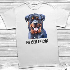 Best friend rottweiler for sale  SOUTHPORT