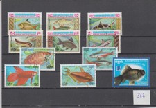neonfische gebraucht kaufen neonfische gebraucht kaufen Olfen