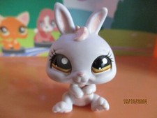 lapin nain d'occasion lapin nain d'occasion Expédié en Belgium