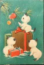 adorable kittens for sale adorable kittens for sale Hobe Sound