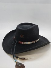 Charlie horse black for sale  Conover