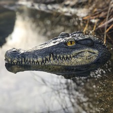 33cm tête crocodile d'occasion  Expédié en France