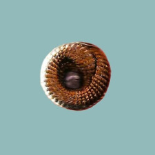 Antique button circa d'occasion  Expédié en Belgium