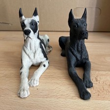 Deutsche dogge gefleckt gebraucht kaufen  Berlin