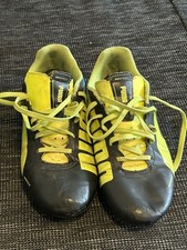 Puma evo speed gebraucht kaufen  Umkirch