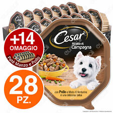 Cesar ricette campagna usato  Castelfidardo